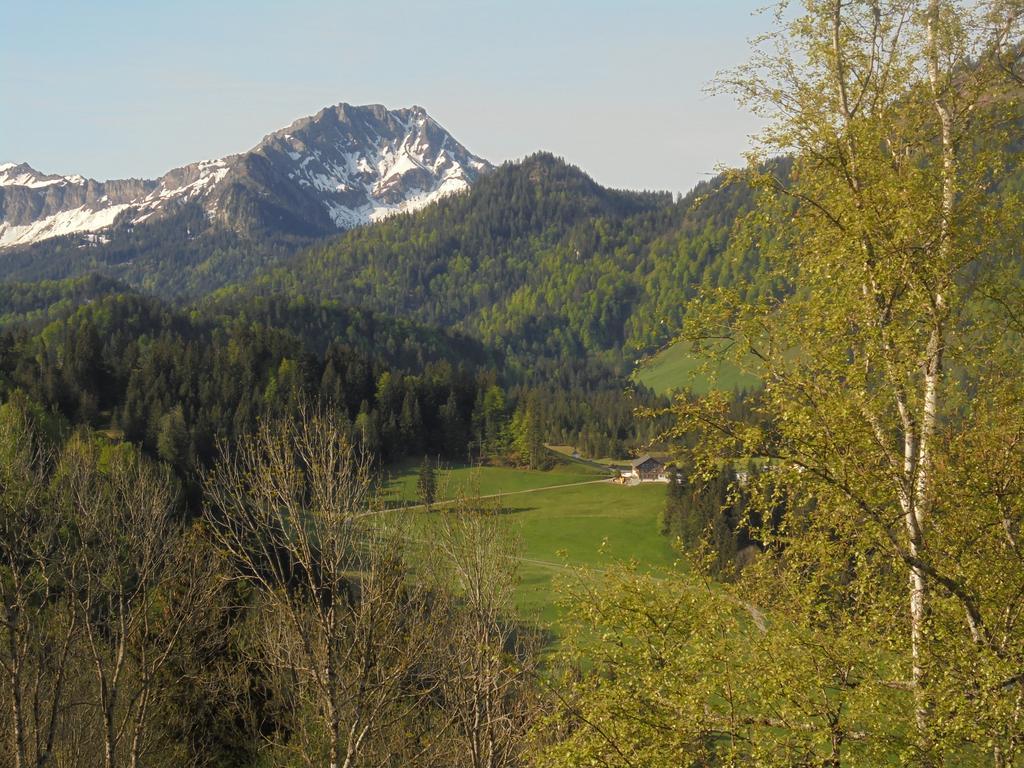 Ferienhaus Nussbaumer Daire Sibratsgfäll Oda fotoğraf